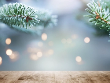 Kleine Weihnachtspause